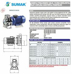 Sumak SMINOX160/50 Komple Paslanmaz Çelik, Flanş Bağlantılı Santrifüj Pompa Trifaze (380V) - 7.5 Hp